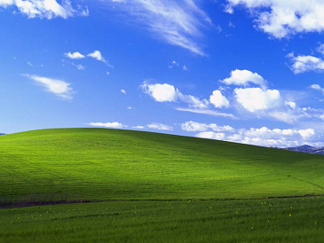Windows XP Bliss wallpaper